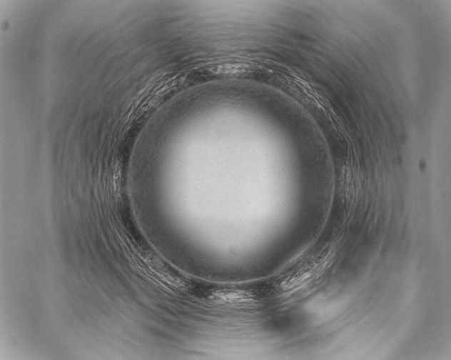 X0000059220557200510141015