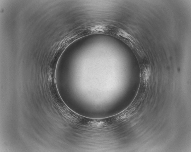 X0000059220570200510141015