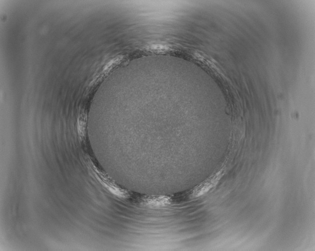 X0000059220576200510141015