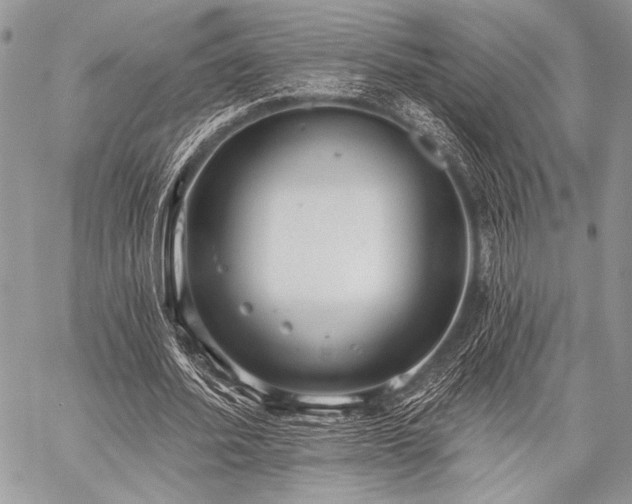 X0000059220580200510141014