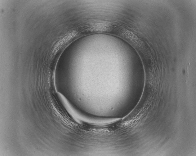 X0000059220586200510141014