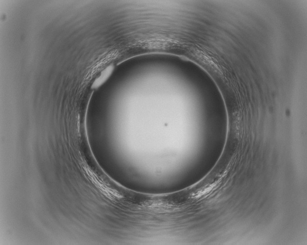 X0000059220589200510141014