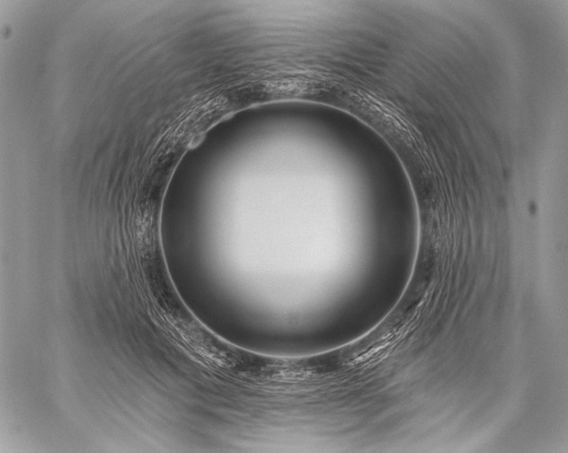 X0000059220601200510141014