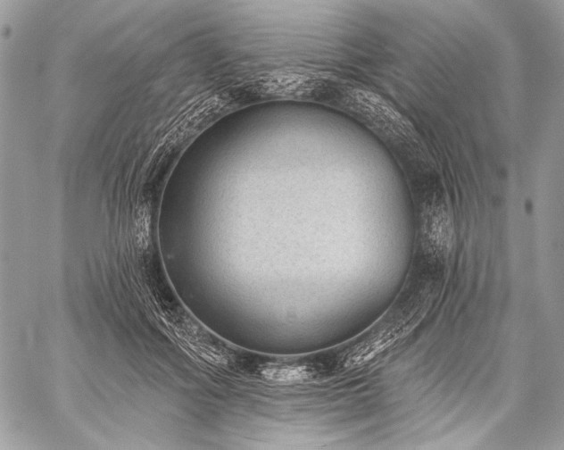 X0000059220602200510141014