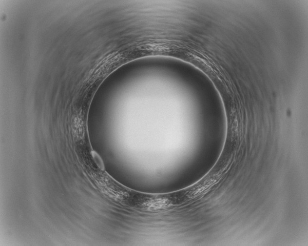 X0000059220609200510141014