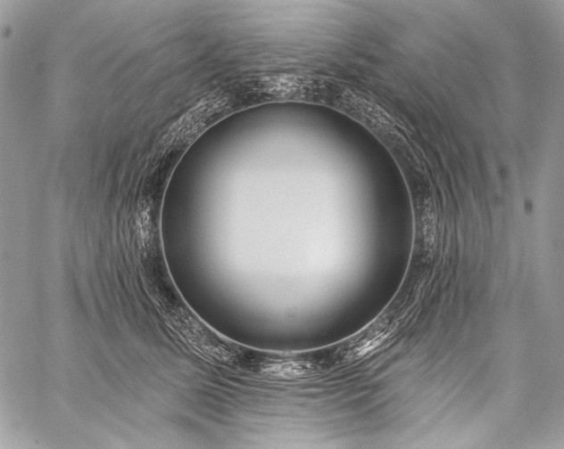 X0000059220611200510141014
