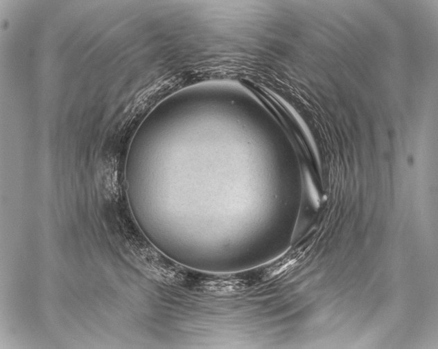 X0000059220615200510141014