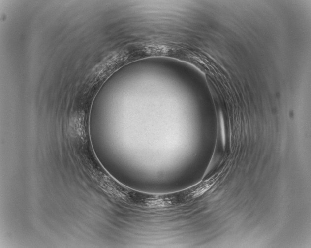 X0000059220616200510141014