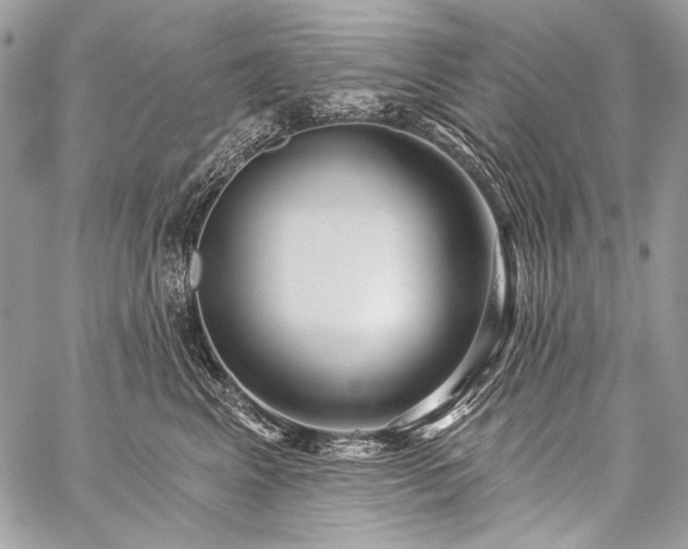 X0000059220617200510141014