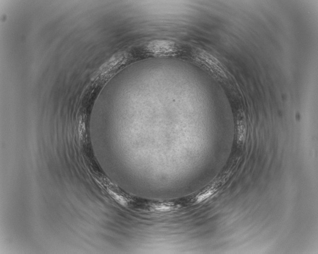X0000059220618200510141014