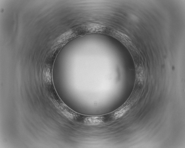 X0000059220622200510141014