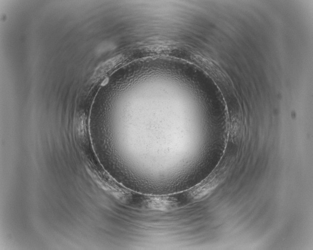 X0000059220623200510141014