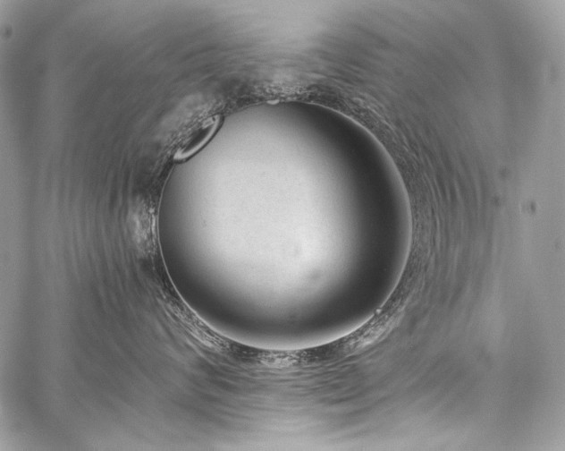 X0000059220624200510141014