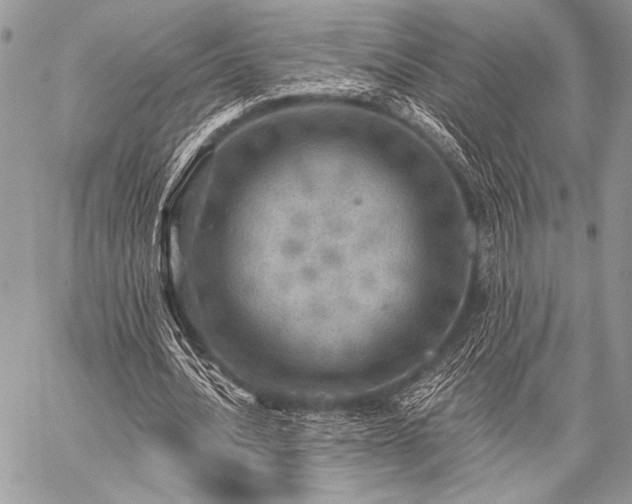 X0000059220628200510141013