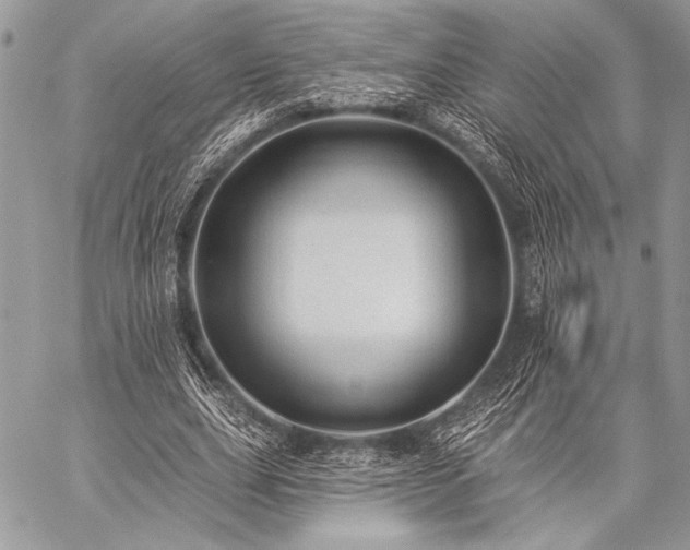 X0000059220631200510141013