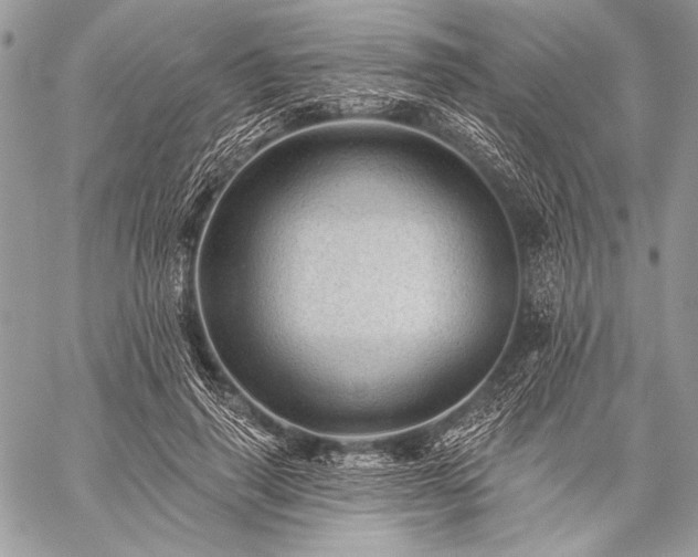 X0000059220645200510141013