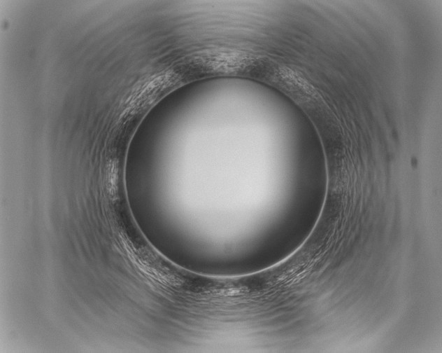 X0000059220646200510141013