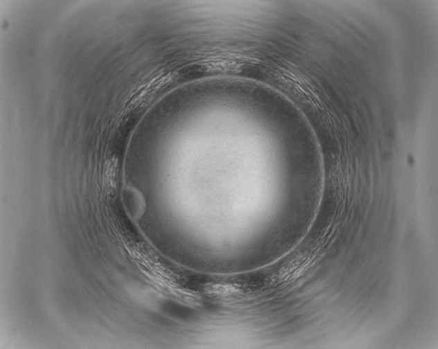 X0000059220649200510141013