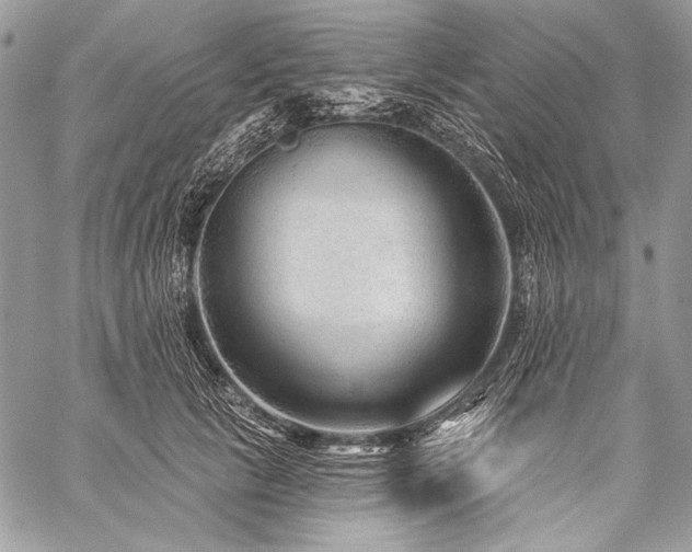 X0000059220657200510141013