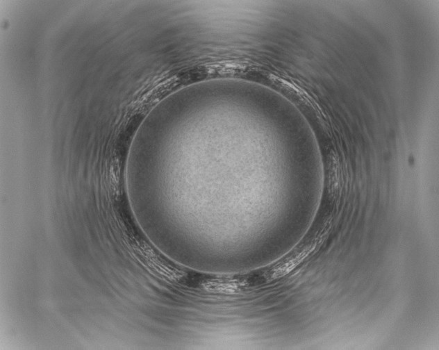 X0000059220661200510141014