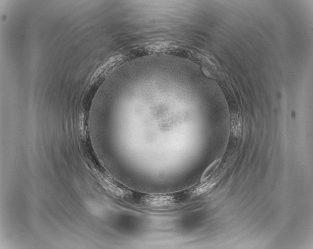 X0000059220670200510141014