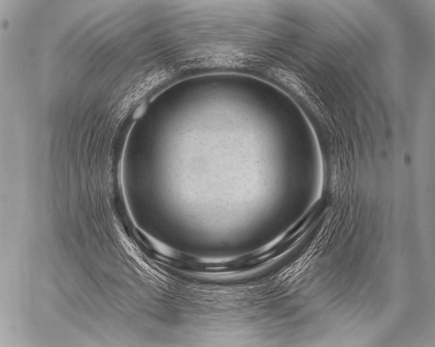 X0000059220677200510141013