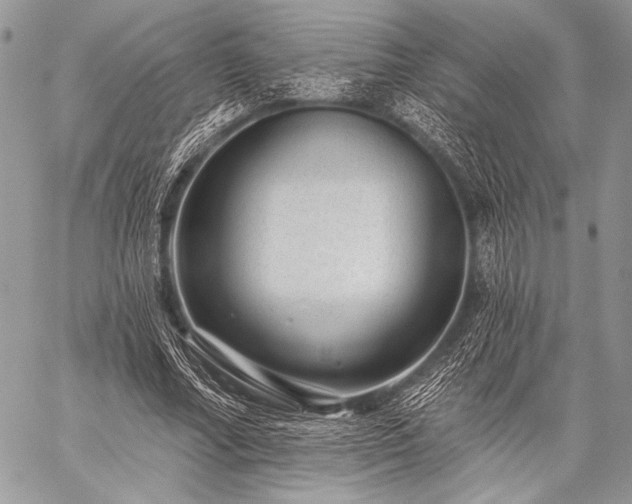 X0000059220682200510141013