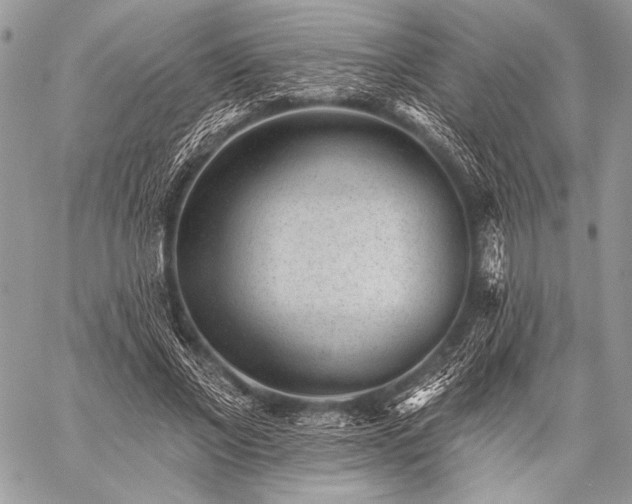 X0000059220685200510141013