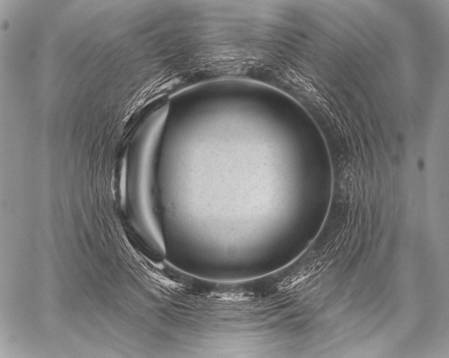 X0000059220693200510141012