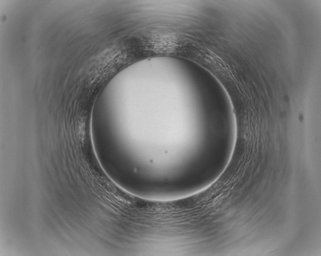 X0000059220697200510141012