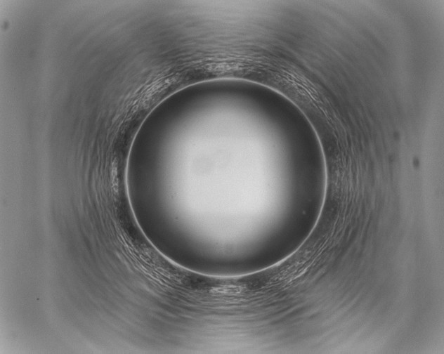 X0000059220700200510141012