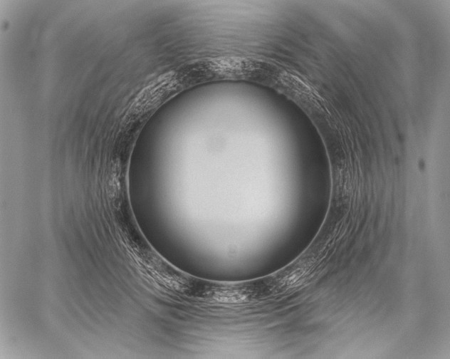 X0000059220702200510141012