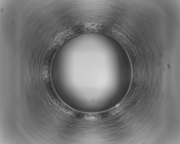 X0000059220706200510141012