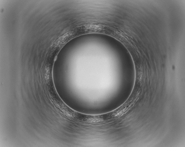 X0000059220708200510141012