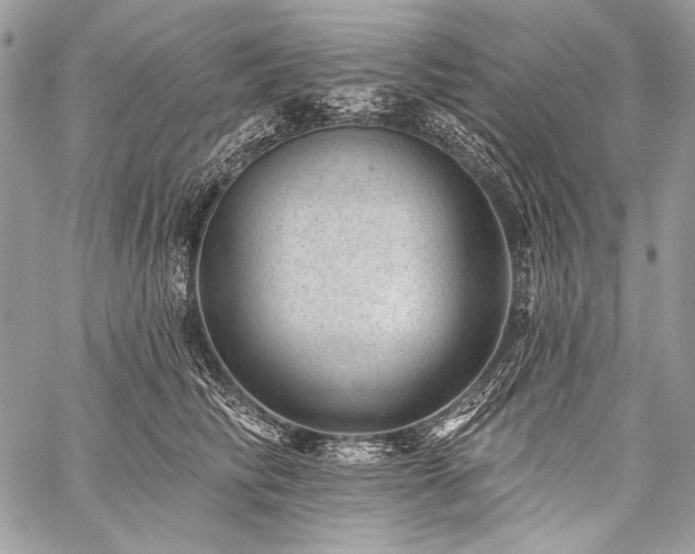 X0000059220710200510141012