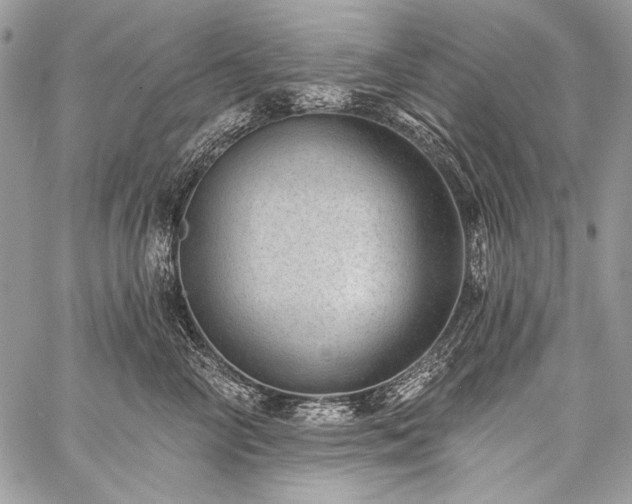 X0000059220714200510141012