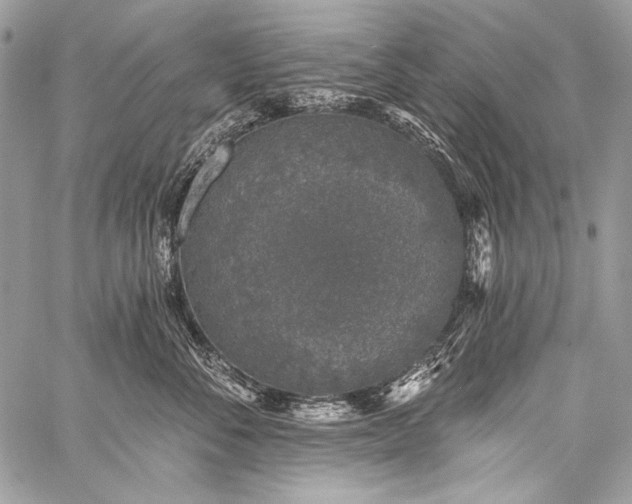 X0000059220716200510141012