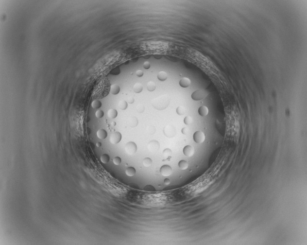 X0000059220717200510141012