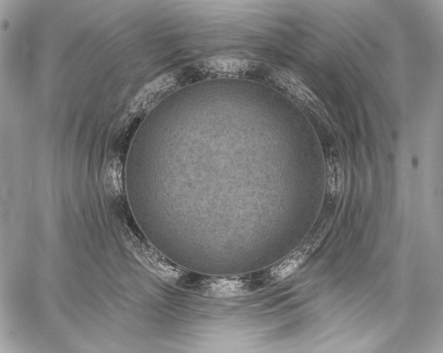 X0000059220718200510141012
