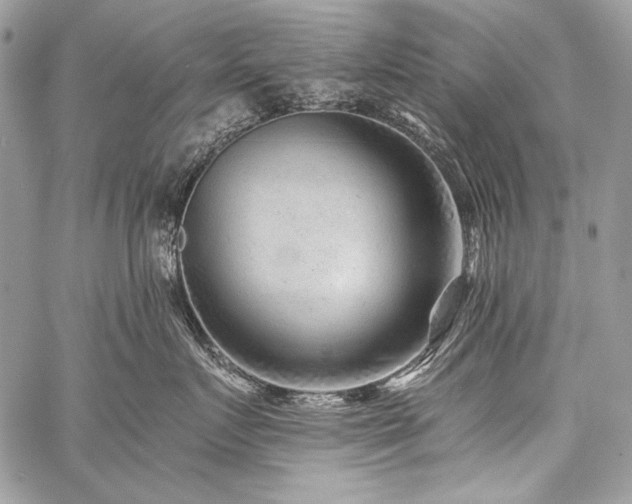X0000059220719200510141012