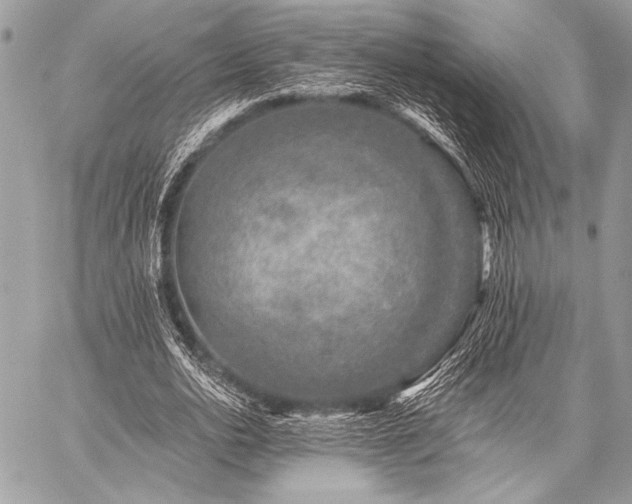 X0000059220726200510141011