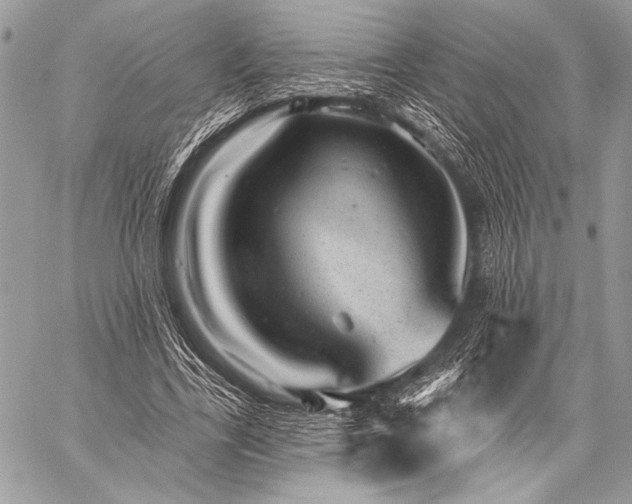 X0000059220731200510141011