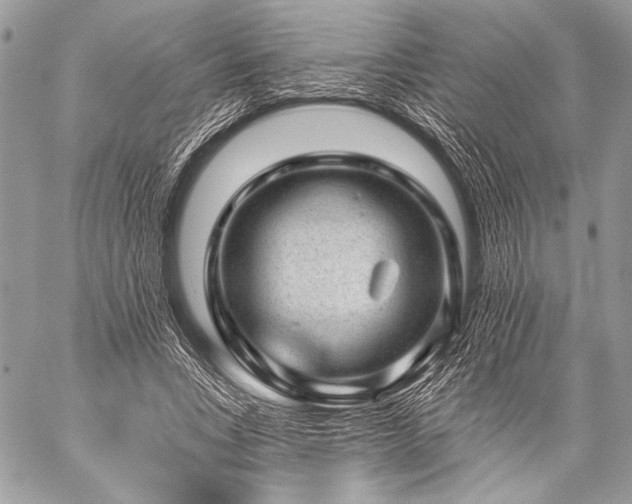 X0000059220735200510141011