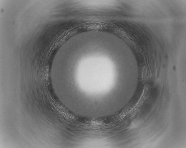X0000059220737200510141012