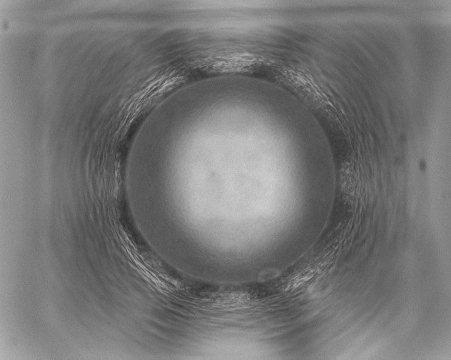 X0000059220741200510141012
