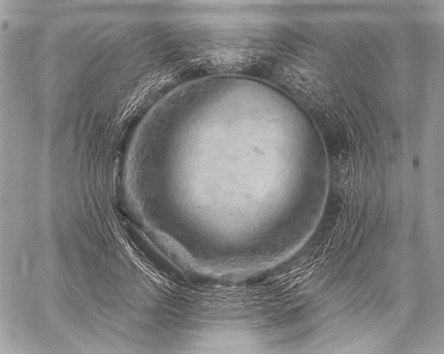 X0000059220742200510141012