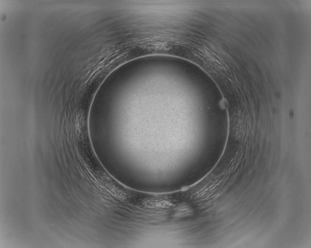 X0000059220747200510141012