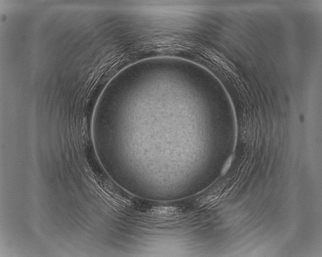 X0000059220748200510141012