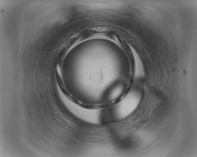 X0000059220750200510141012