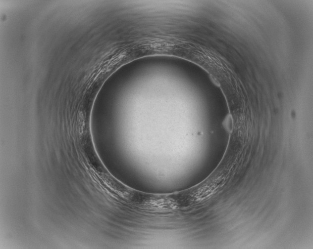 X0000059220752200510141012
